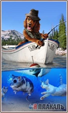 Кошки тоже люди!
