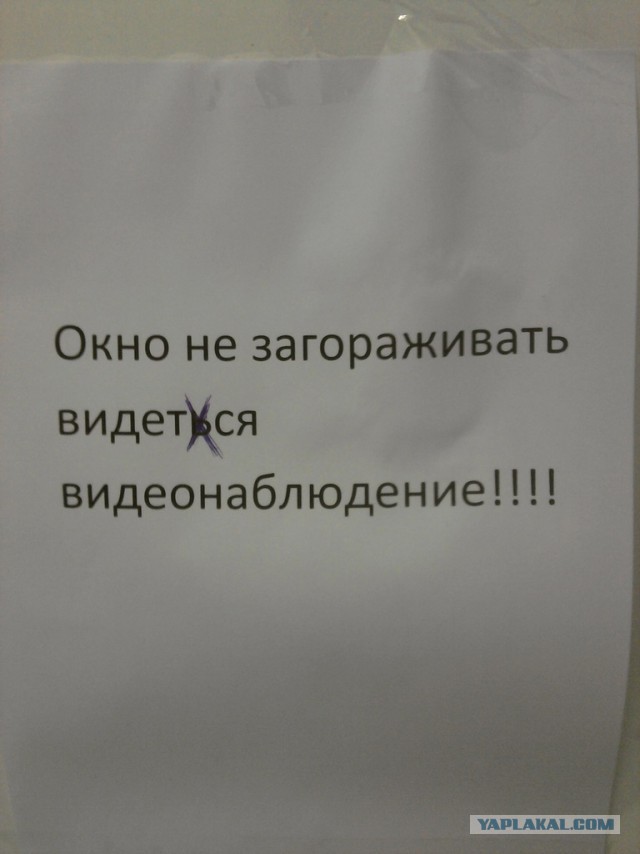Ужасы и приколы из жизни