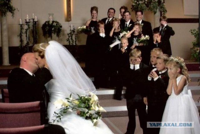 Подборка интересных и веселых картинок