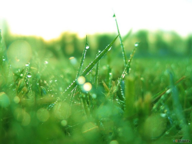 Wallpapers, ОБОИ НА РАБОЧИЙ СТОЛ
