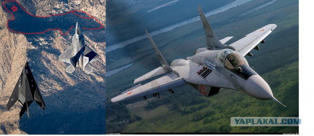 Подборка интересных и веселых фото