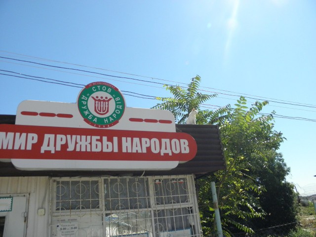 Севастополь захвачен котами!