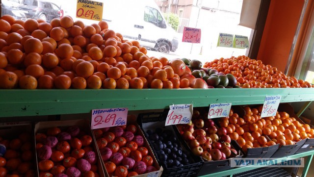 Настоящая Испания изнутри: на местный рынок за продуктами