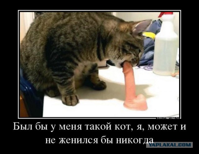 Небольшая подборка картинок, бояны тоже будут
