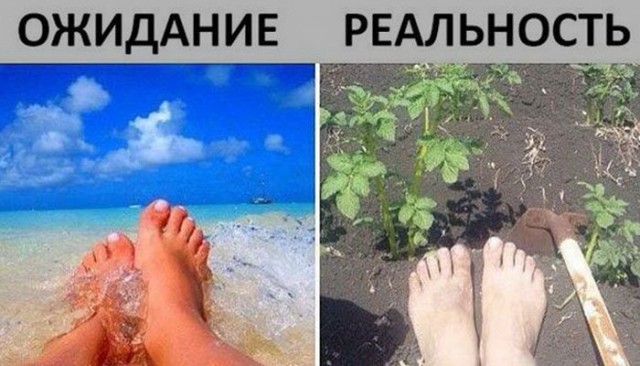 Подборка безудержного веселья