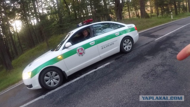 План на субботу: пробежать 100 км из Калининграда в Клайпеду по Куршской косе