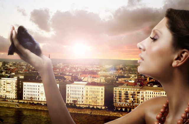 16 работ фотографа Иставана Аведа