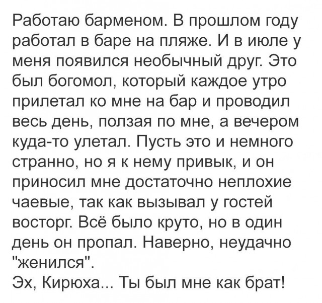 150 картинок для поднятия настроения!