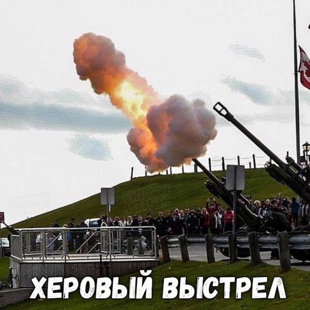 Картинки из интернетов