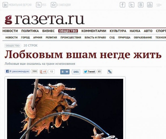Ударная доза тупежа и деградации