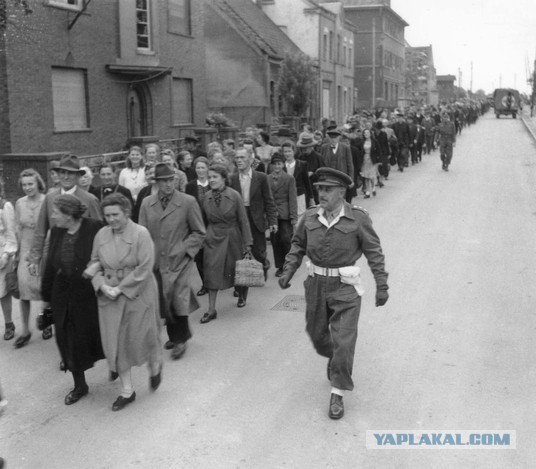 "Разбор полётов", принудительный просмотр немцами фильма о преступлениях нацизма
