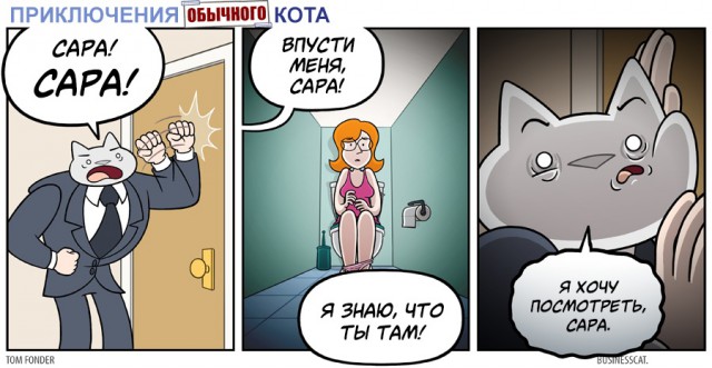 Сексистские (и не только) шуточки