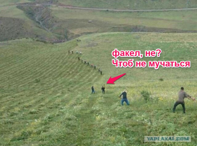 Покос