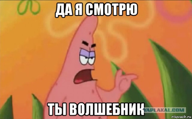 Ворота распашные складные. В натуральную величину!