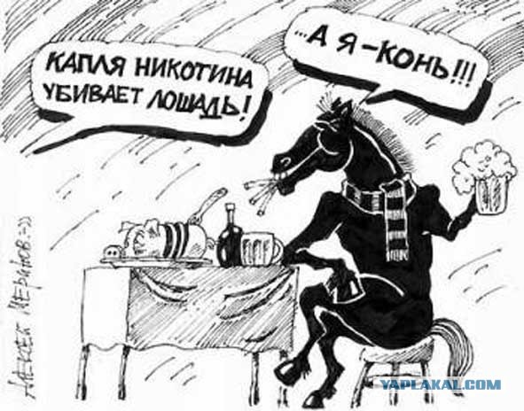 Дурная привычка