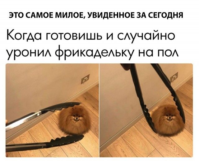 Нестандартный юмор