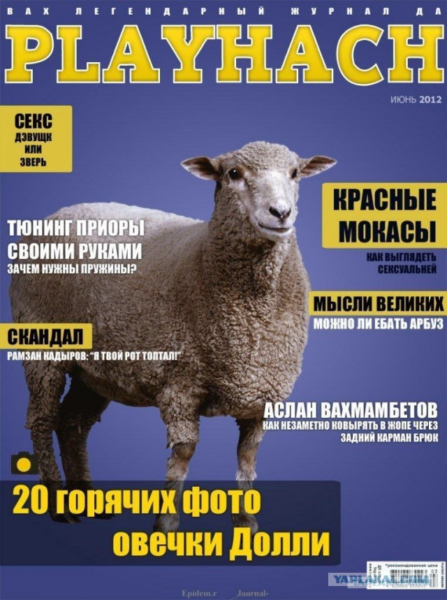 Селфи