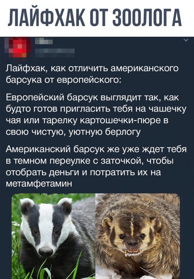 Немного картинок с надписями и без - 8