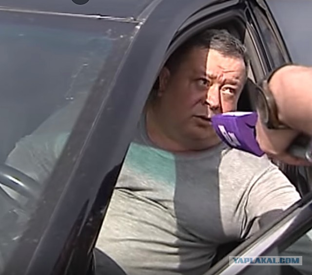 Псы терроризируют уральский поселок, где бойцовая собака загрызла прохожего