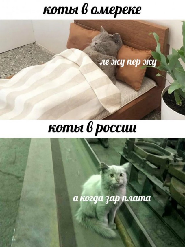 Немного картинок для настроения