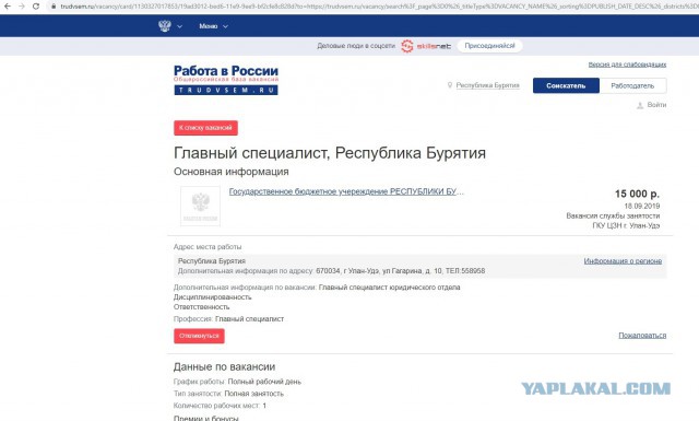 Россия заглянула в демографическую пропасть: рождаемость рухнула до минимума за 20 лет