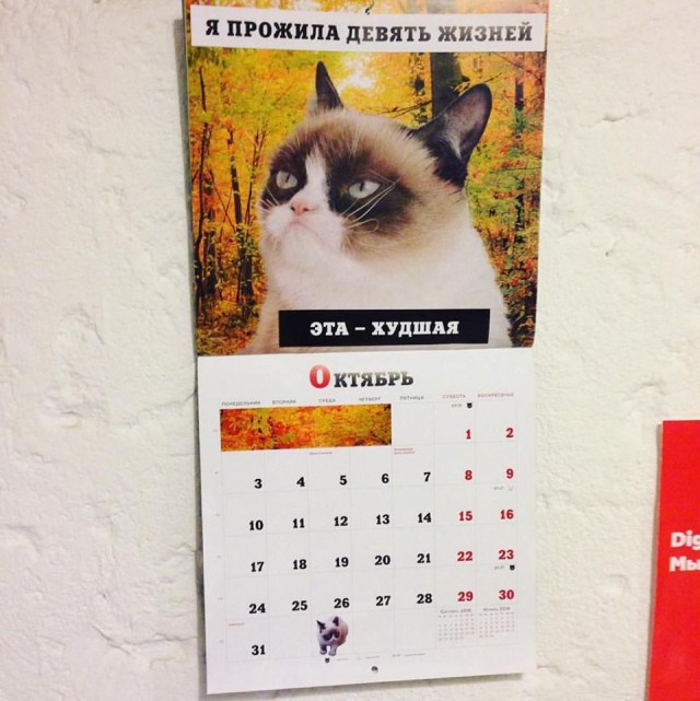 Нестандартный юмор