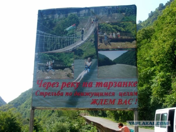 Кто хочет покататься. Они ВАС ждут