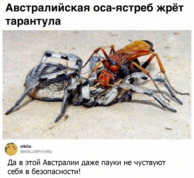 Немного картинок с надписями и без - 37