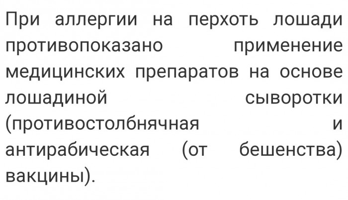 Толстому коту разрешили лететь в самолете!