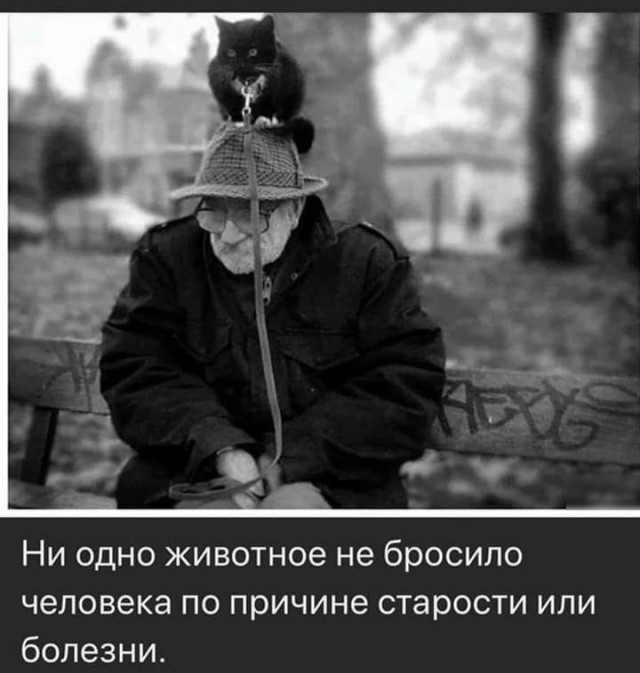 Чуток картинок 15.04.20