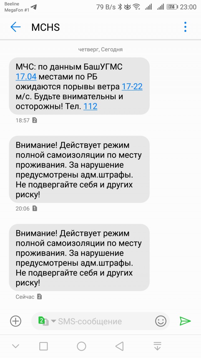 В Уфе поставили план штрафовать по тысяче нарушителей самоизоляции в день