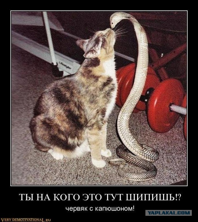 Война на пороге?