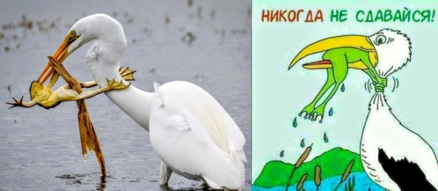 Немного картинок для настроения 19.05.20