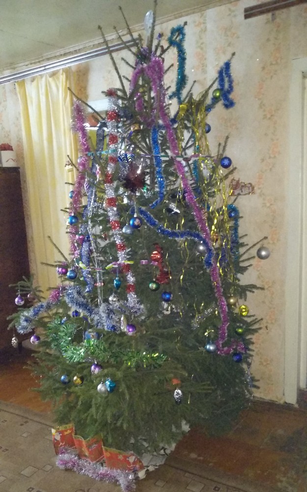 20 снимков «с запахами», которые можно почувствовать сквозь монитор