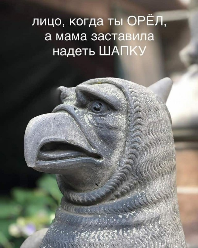 Бредзона 22.06.2020