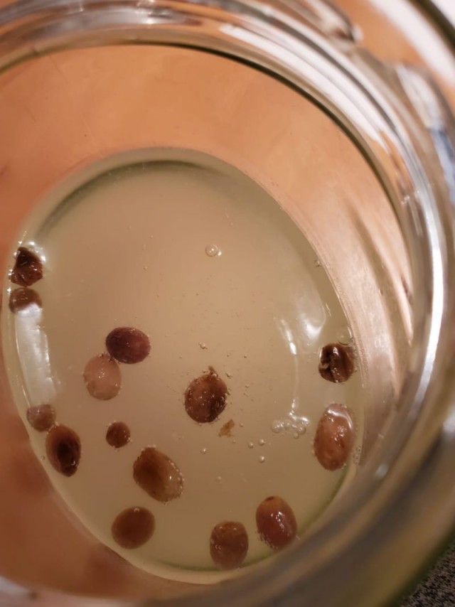 Рисовый квас.