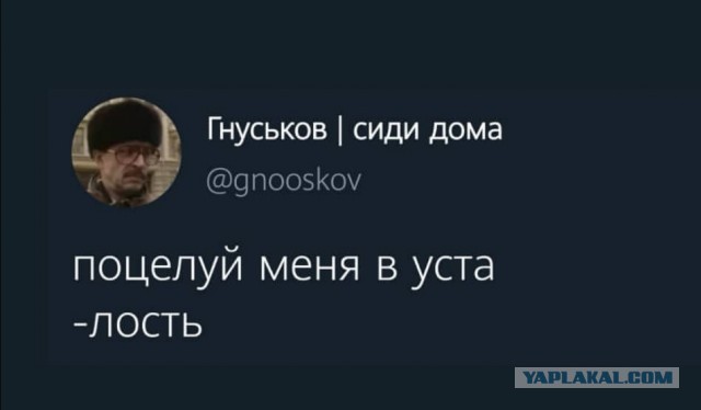 Картинки из рабочего чата 24.10