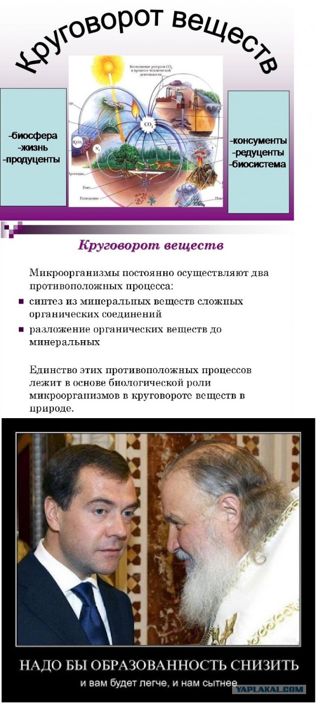 Крупнейшее исследование датских ученых, доказывающих бесполезность масок, отказались печатать сразу три научных журнала