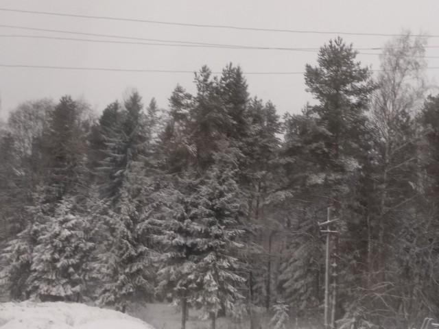 Я ваш ЯП топтал
