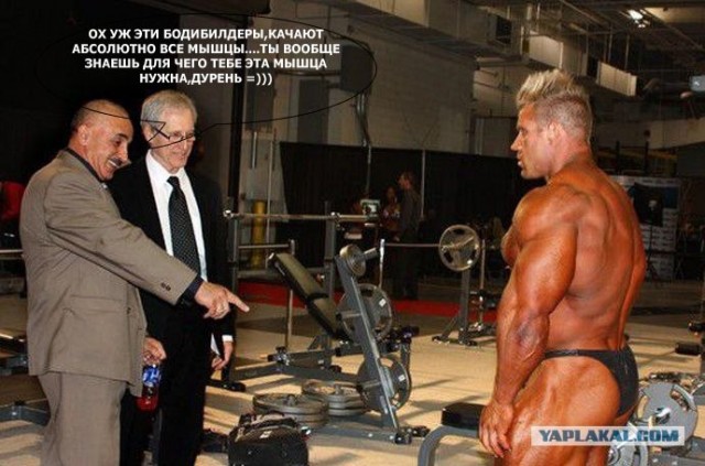 Ха-ха! Я же говрил!