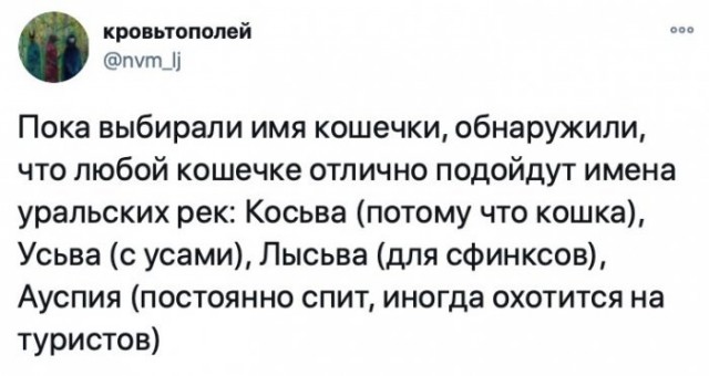 Картинки и мемы для настроения 030