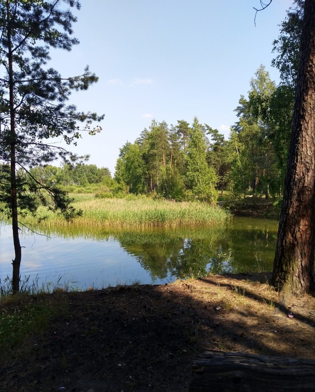 Жара, а многие женщины на улице в джинсах (лосинах), почему?