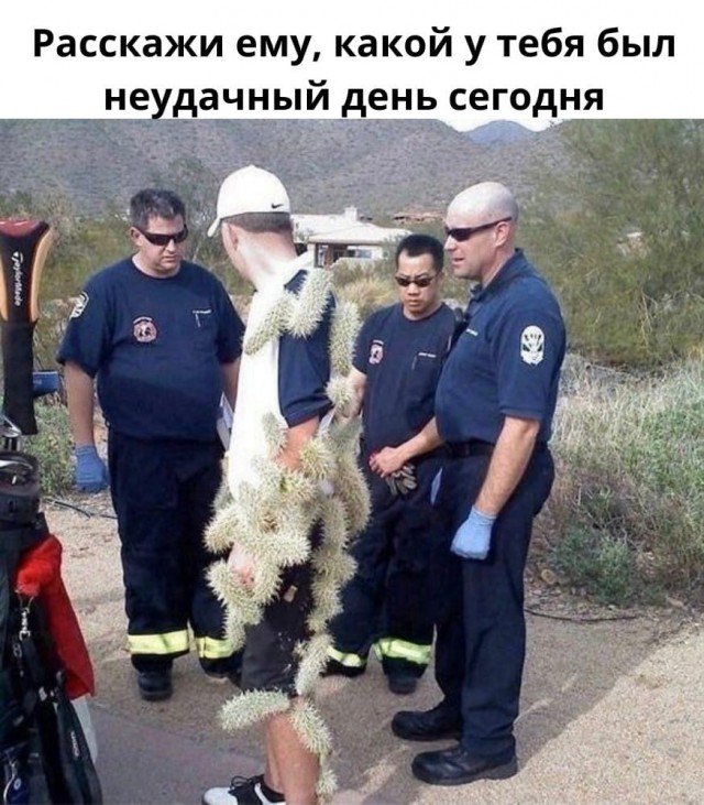 Так себе картинки 25.08.21
