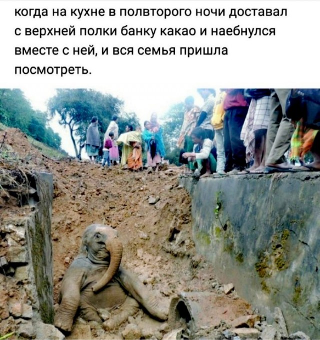 Весёлый полтишок 17.09