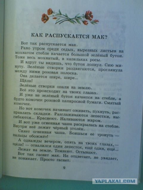 Как распускается мак