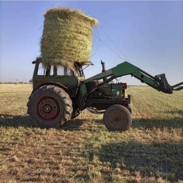 Прикольные и просто красивые картинки