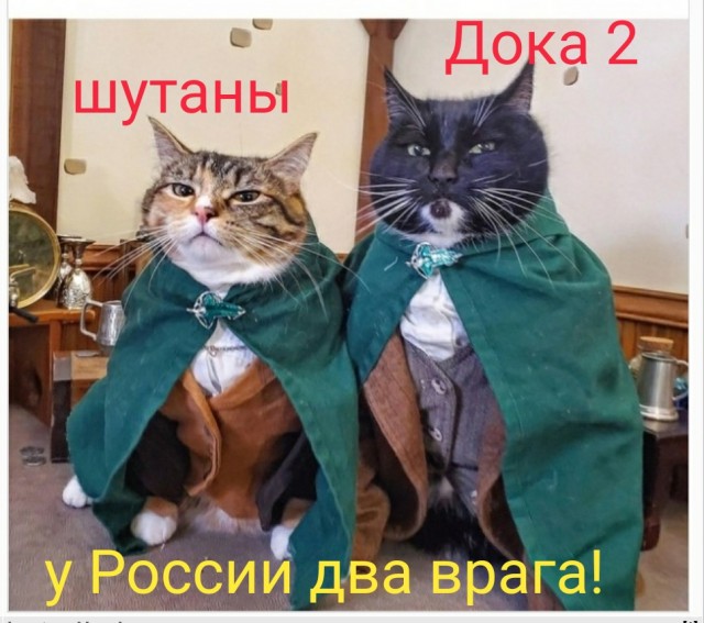 «Постреляли в игре — пошли стрелять по реальным людям»