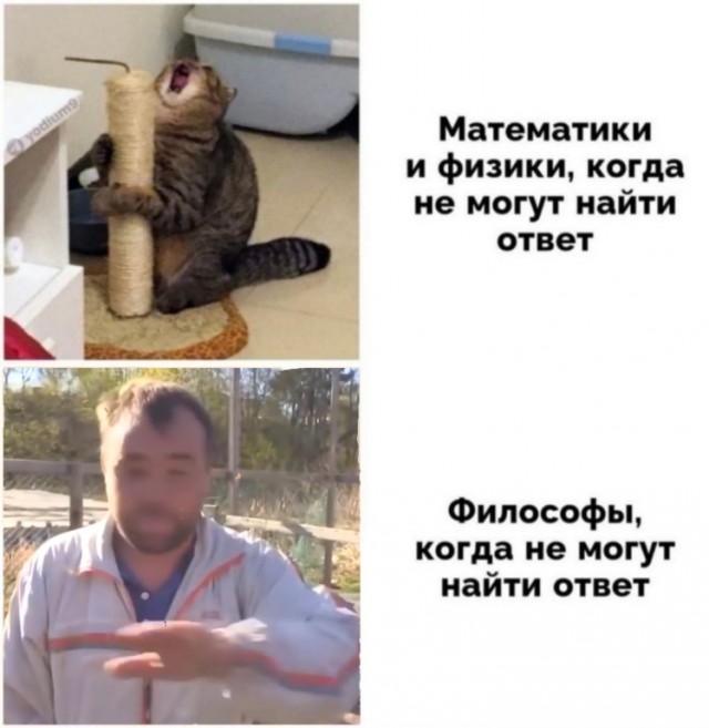Так себе картинки 14.12.21