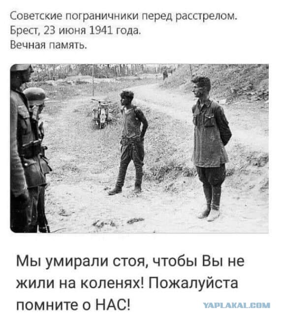 Чтобы вы не жили на коленях