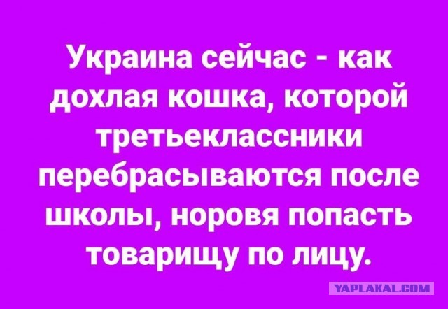 Лишь бы не было войны